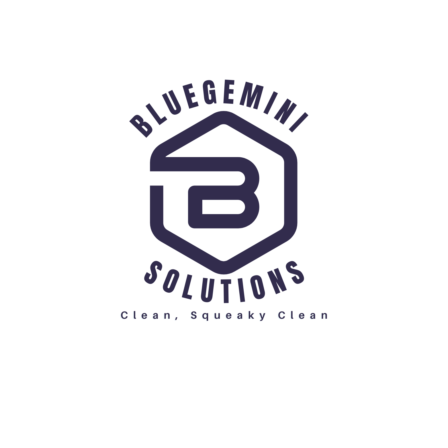 BlueGemini Solutions